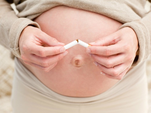 Thai phụ hút thuốc làm giảm khả năng sinh sản của con trai