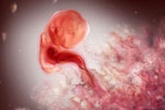 4 tuần đầu tiên của thai kỳ em bé phát triển như nào?