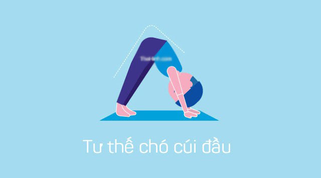 Bài tập Yoga cho trẻ em