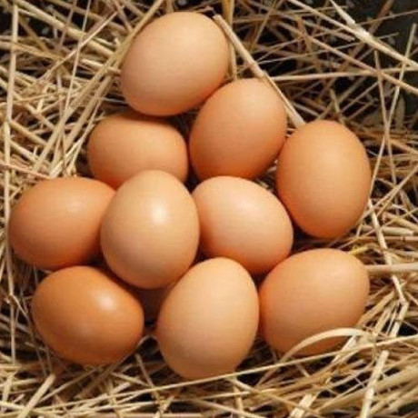 Ăn trứng giúp tăng cân hiệu quả